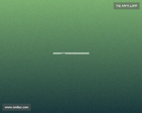 虚拟私有服务器VPS竞技盛典全球精英云端对决技术革新荣耀时刻